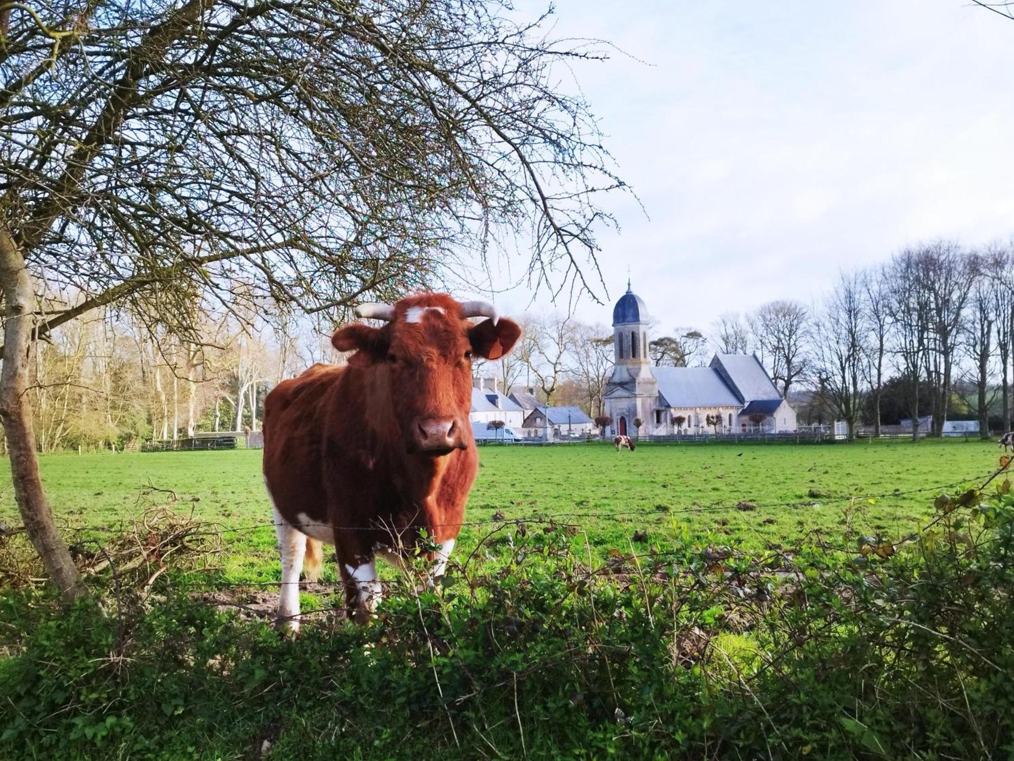 Comme A La "Maisons" Maisons  Extérieur photo